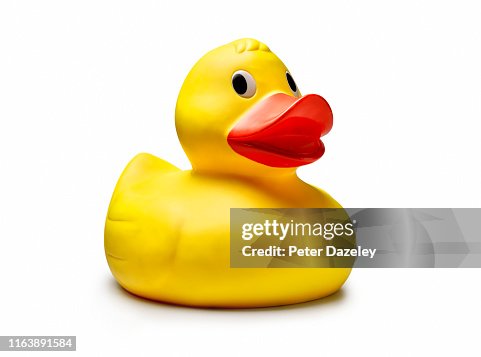 fotos e imágenes de Patito - Getty Images fotos e imágenes de Patito - Getty Images