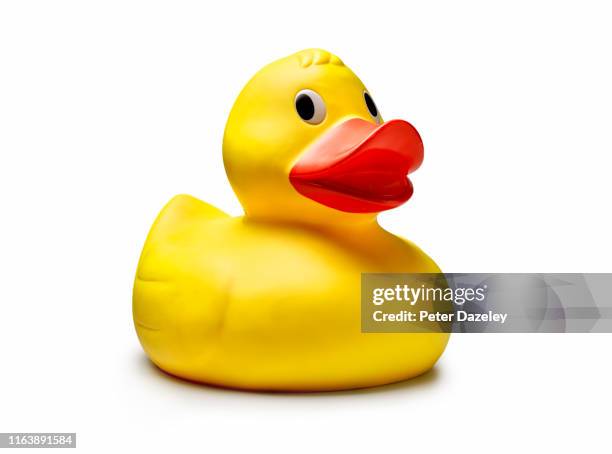 individual yellow rubber duck - giocattoli foto e immagini stock