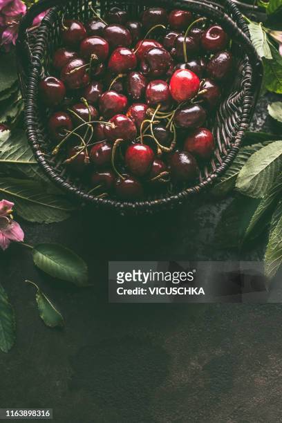basket of ripe cherries on dark rustic background, top view - cherry on top stock-fotos und bilder