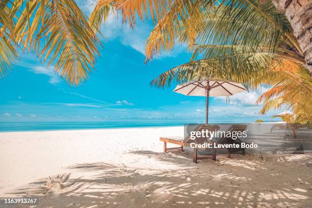 beautiful beach. chairs on the sandy beach near the sea. summer holiday and vacation concept for tourism. inspirational tropical landscape - beach and palm trees stock pictures, royalty-free photos & images