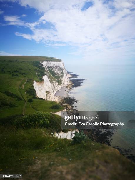 the white cliffs of dover - white cliffs of dover stock pictures, royalty-free photos & images