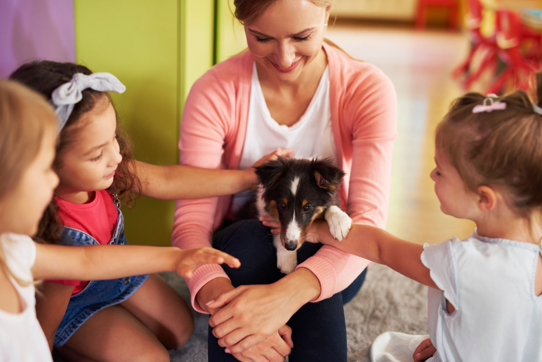 dog playgroup