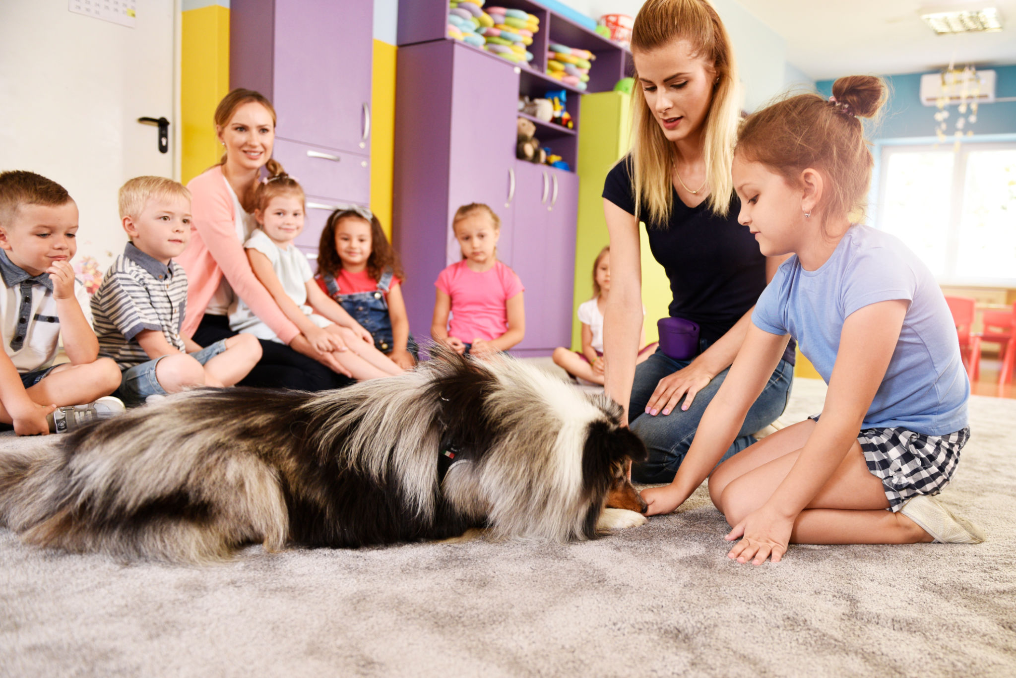 animal therapy