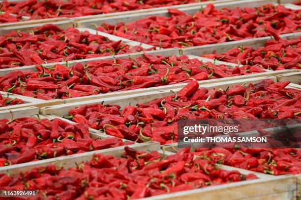 Picture shows Epelette peppers during a tour by the spouses of G7 leaders and guests on traditional Basque culture in Espelette, near Biarritz as...