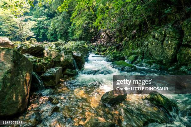 clear stream flowing between rocks. at akame 48 waterfall - mie prefecture stock pictures, royalty-free photos & images