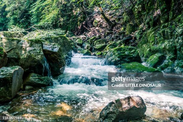clear stream flowing between rocks. at akame 48 waterfall - mie prefecture stock pictures, royalty-free photos & images