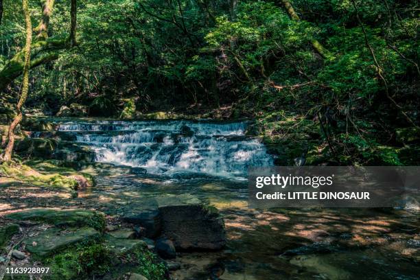 mountain stream flowing on stepped rocks. at the akame 48 waterfalls - butlins fotografías e imágenes de stock