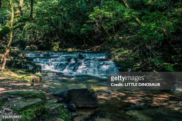 mountain stream flowing on stepped rocks. at the akame 48 waterfalls - acampamento de férias - fotografias e filmes do acervo