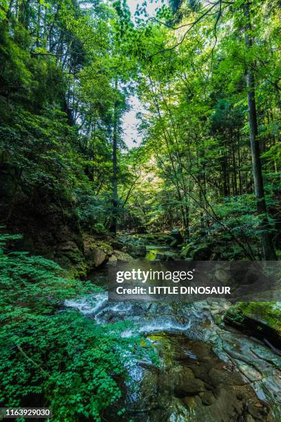 waterfalls - butlins stock pictures, royalty-free photos & images