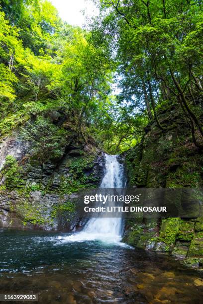 strong waterfalls flow after the rain. at the akame 48waterfalls (vertical/slow shutter) - butlins fotografías e imágenes de stock