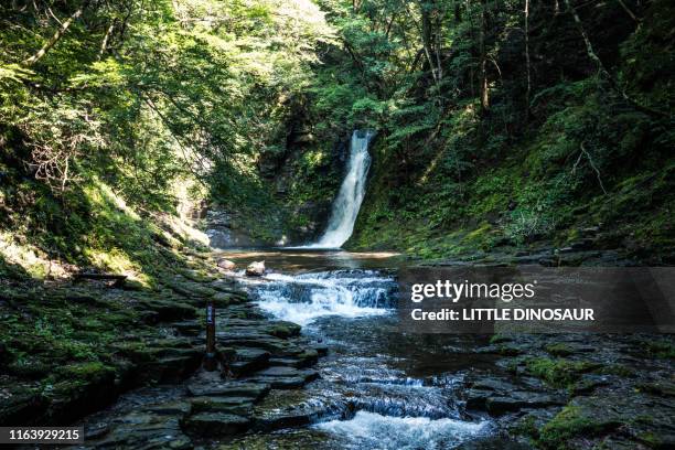 waterfall in the deep forest. at the akame 48waterfalls - butlins stock pictures, royalty-free photos & images