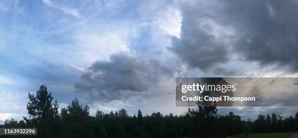 silhouette of trees and dramatic sunset sky in new hampshire usa - new hampshire stock-fotos und bilder