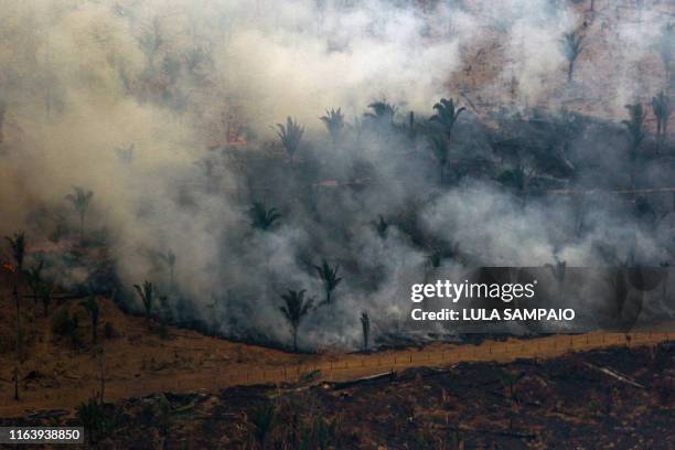 Aerial view showing smoke billowing from a patch of forest being cleared with fire in the surroundings of Boca do Acre, a city in Amazonas State, in...