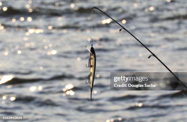 fishing line and bait - fishing line stock pictures, royalty-free photos & images
