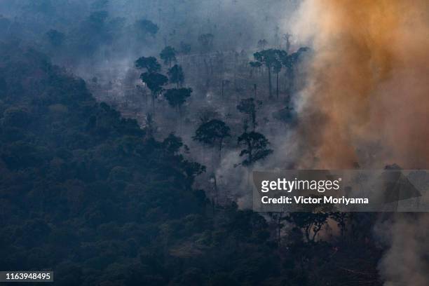 In this aerial image, A fire burns in a section of the Amazon rain forest on August 25, 2019 in the Candeias do Jamari region near Porto Velho,...