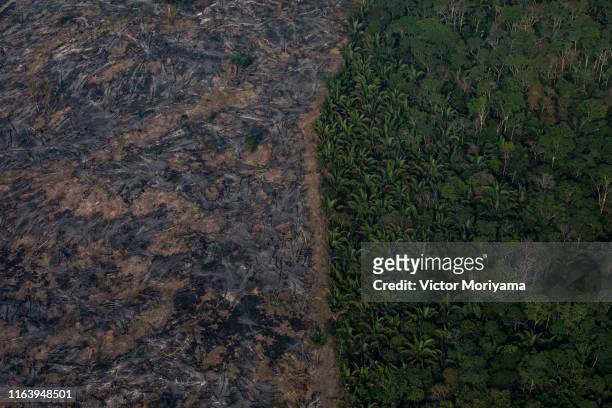In this aerial image, A section of the Amazon rain forest that has been decimated by wild fires on August 25, 2019 in the Candeias do Jamari region...