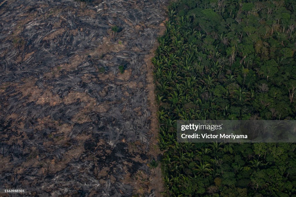 Record Number Of Fires Torch Brazil's Amazon Forest
