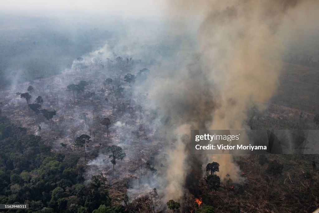 Record Number Of Fires Torch Brazil's Amazon Forest