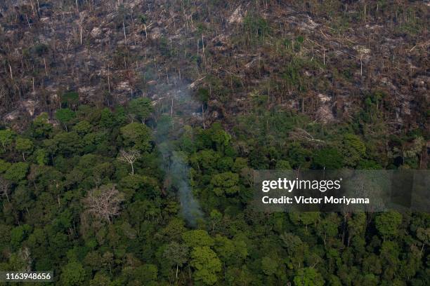 In this aerial image, a section of the Amazon rain forest that has been decimated by wildfires is seen on August 25, 2019 in the Candeias do Jamari...