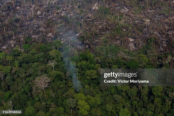 Amazon Rian In this aerial image, a section of the Amazon rain forest that has ...