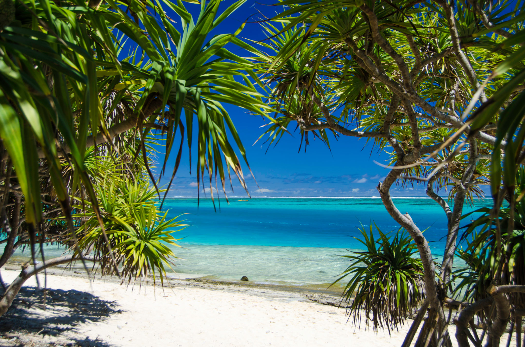 vanuatu beaches