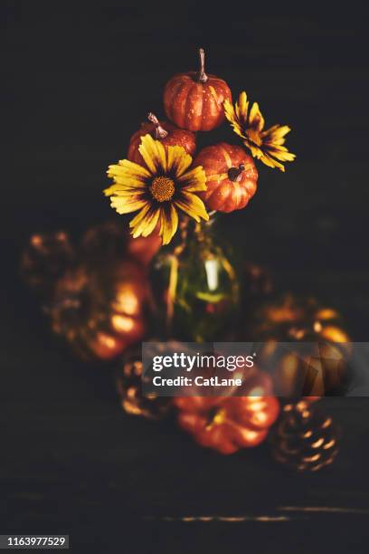 thanksgiving stilleven met coreopsis bloemen en pompoenen - dark floral stockfoto's en -beelden