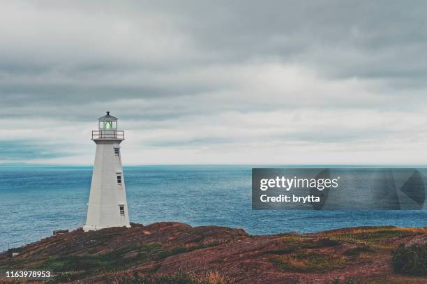 cape spear lighthouse, avalon peninsula, newfoundland, canada - vuurtoren stockfoto's en -beelden