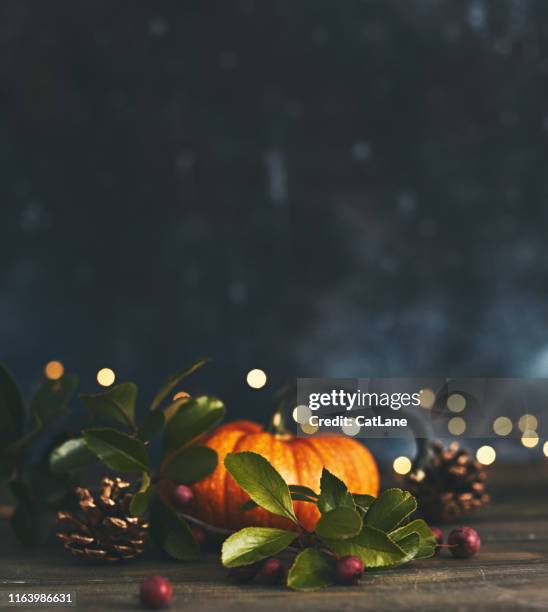 thanksgiving still life with miniature pumpkin and berries - thanksgiving imagens e fotografias de stock