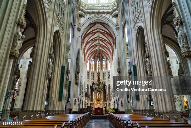 sint-janskathedraal of 's-hertogenbosch - catholicism stockfoto's en -beelden