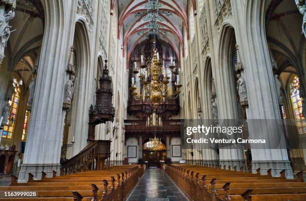 sint-janskathedraal of 's-hertogenbosch - catholicism stockfoto's en -beelden