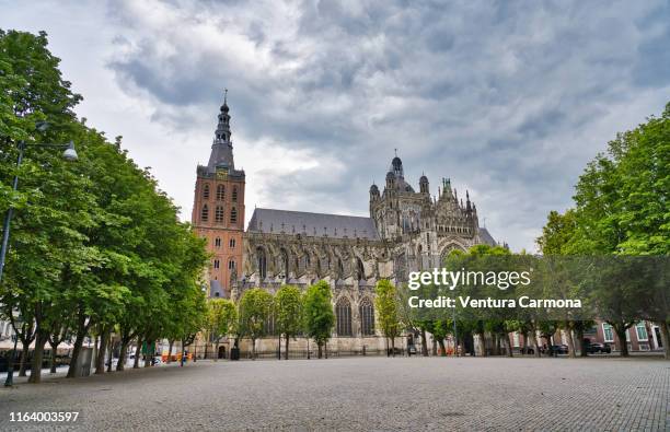 sint-janskathedraal of 's-hertogenbosch - s hertogenbosch 個照片及圖片檔