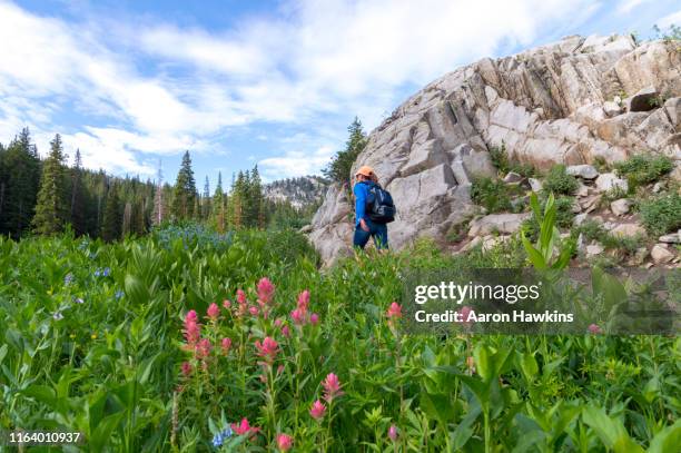 atletische vrouwelijke model op mountain hiking trail naar lake mary in het midden van de zomer - wasatch-mountains stockfoto's en -beelden