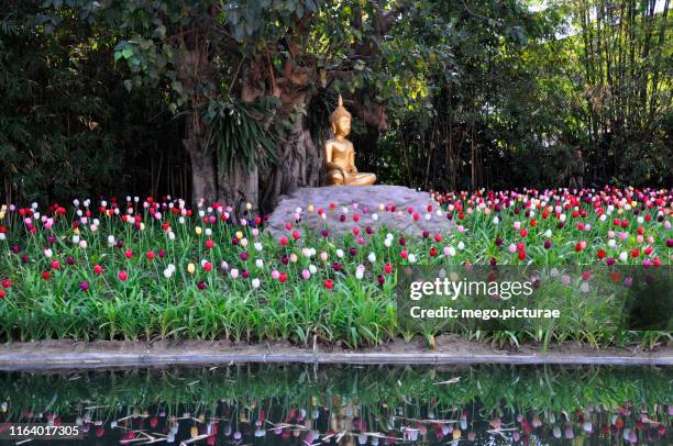 buddha garden - sculpture garden stock pictures, royalty-free photos & images
