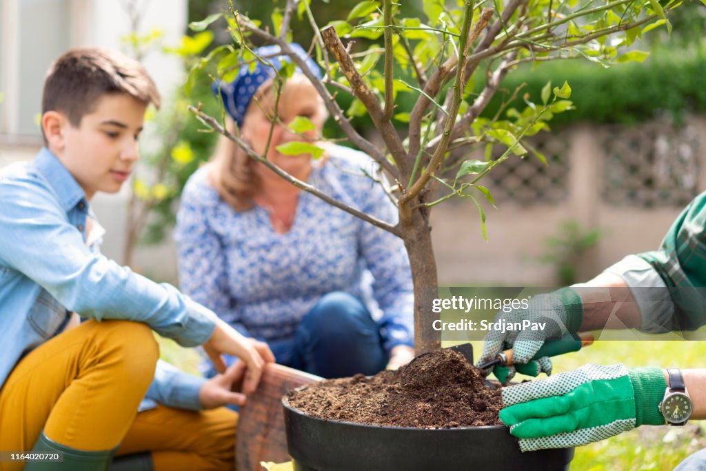 Gardening and relaxing activity