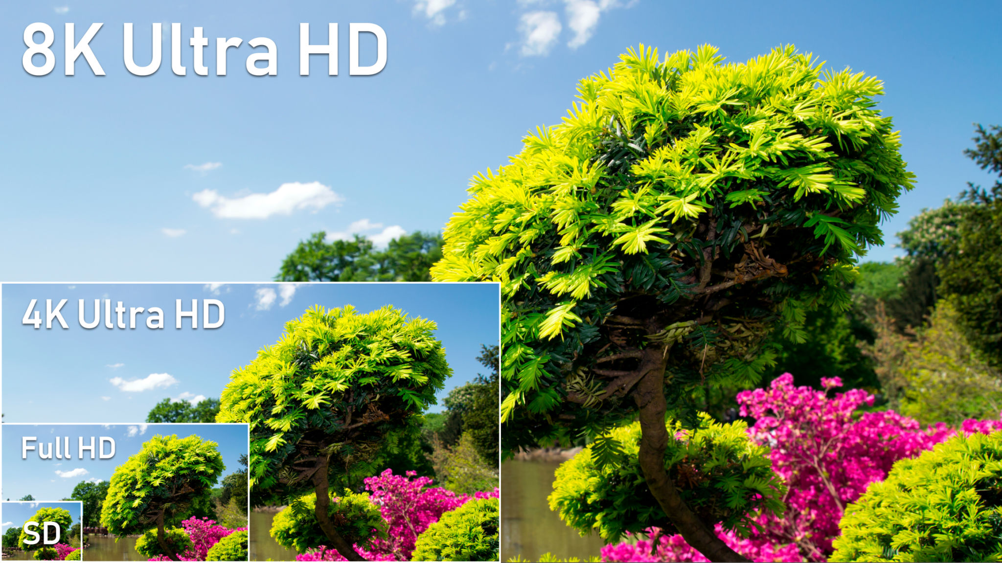 8k television