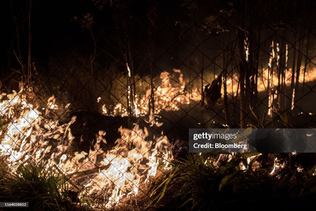 Brazilian Amazon Burns At Record Rate