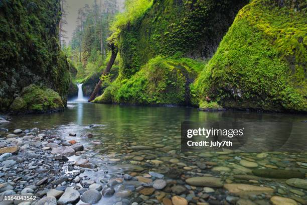 punch bowl falls und greenery auf eagle creek - columbia river gorge stock-fotos und bilder