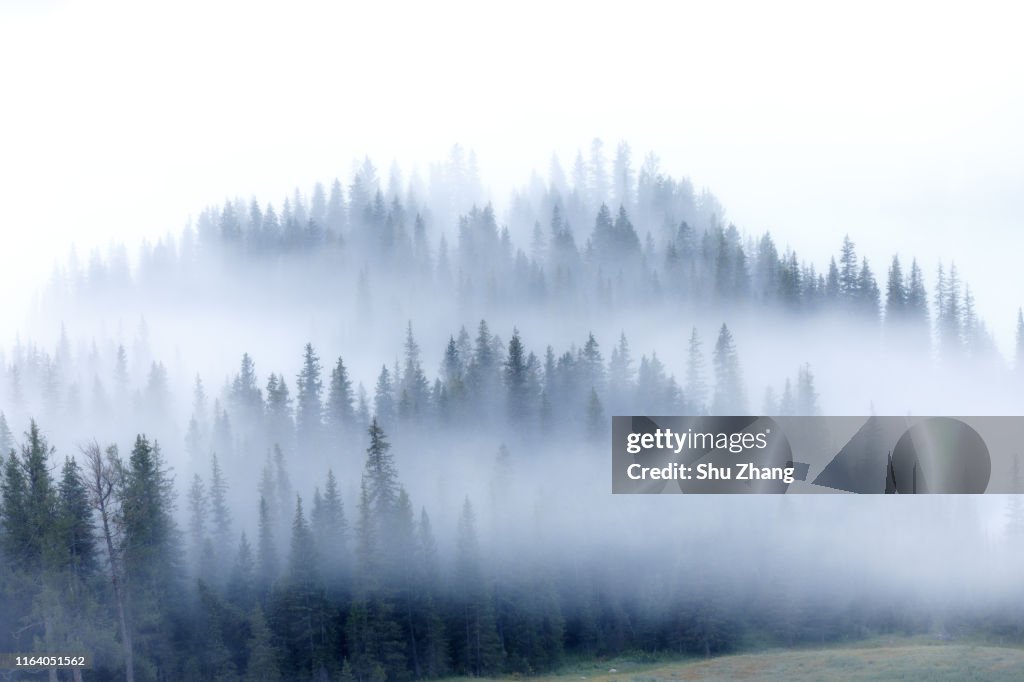 Kanas morning fog