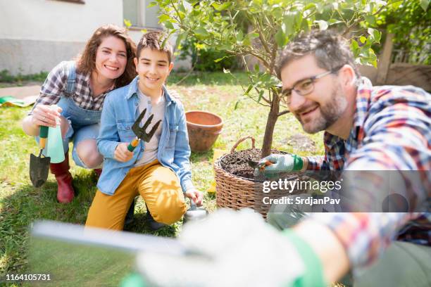 ricordi felici - family planting tree foto e immagini stock