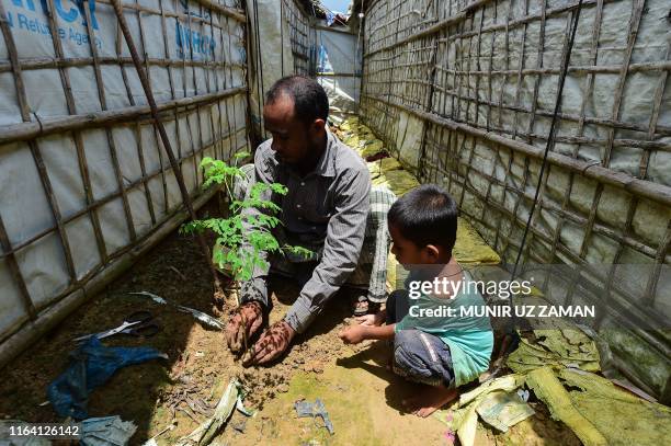 Azizuallah 17 Aziz Ullah Stock Photos, High-Res Pictures, and Images - Getty Images