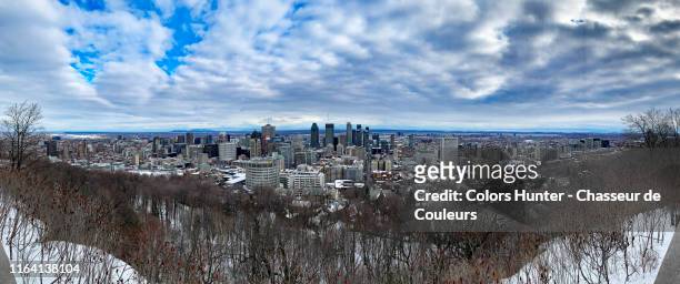 montreal panoramic view from mount royal - mont royal photos et images de collection