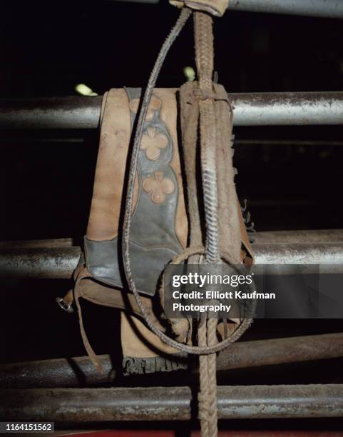 12,661 Houston Rodeo Stock Photos, High-Res Pictures, and Images ...