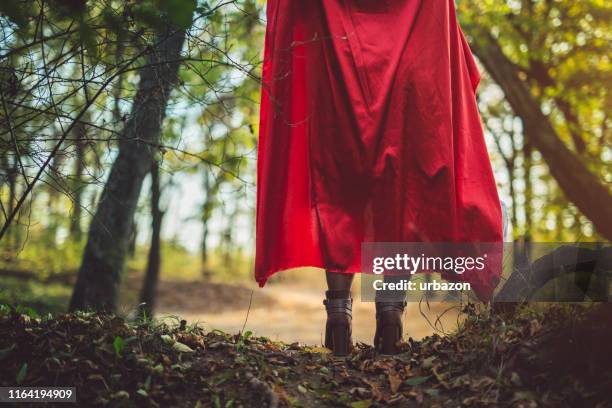 a través del bosque - parte inferior fotografías e imágenes de stock