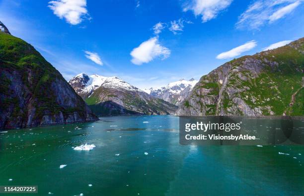 auf dem weg zum tracy arm fjord sehen wir alaskan snowcapped mountains mit blick auf einen üppigen wald und einen wunderschönen see. - fjord stock-fotos und bilder