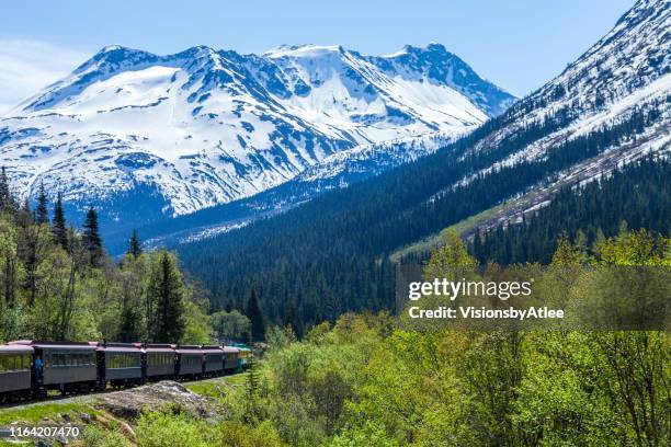 touristenzug von der kanadischen grenze zurück nach skagway ak durch die white pass mountain gorge - skagway stock-fotos und bilder