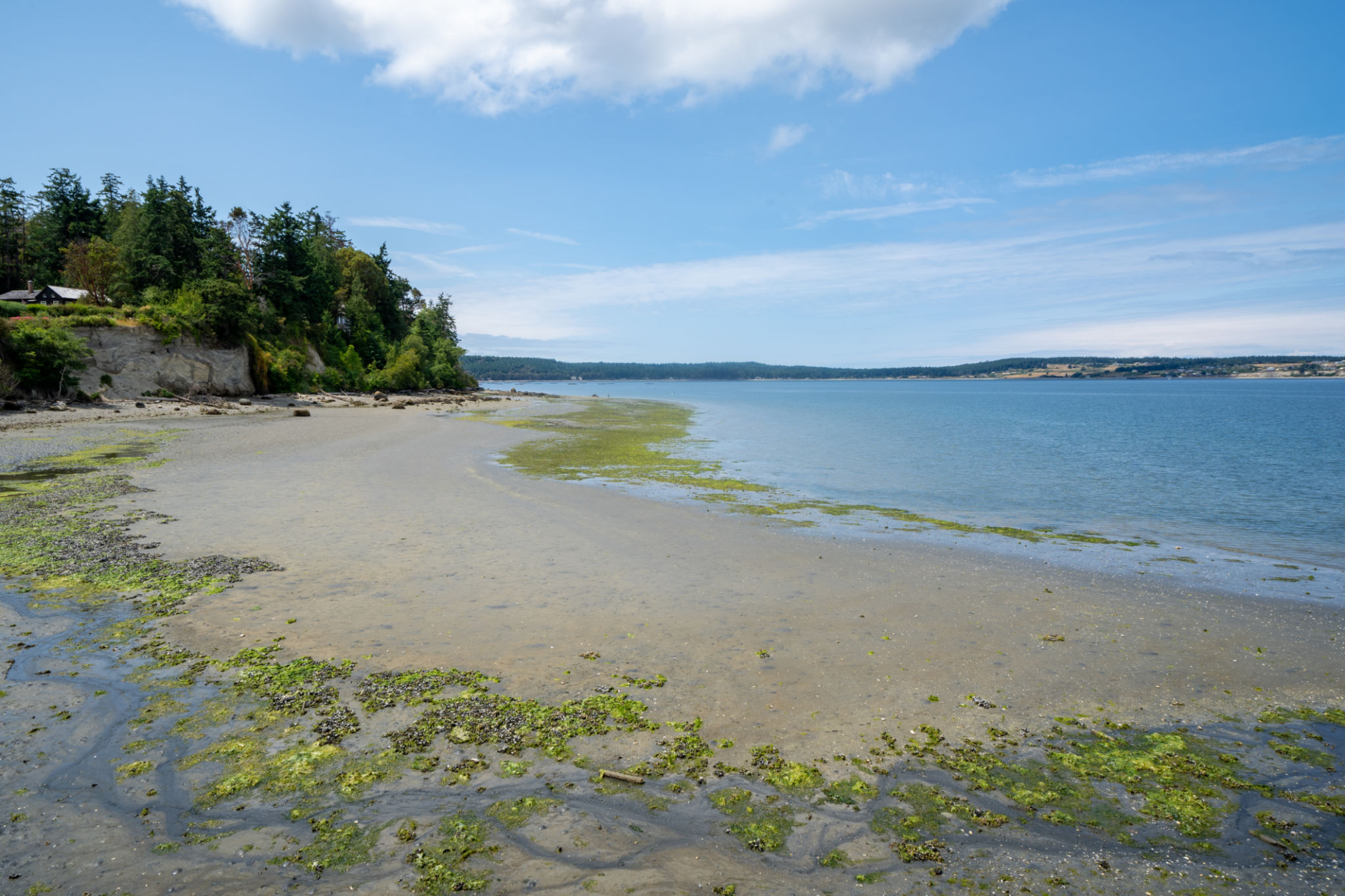 point washington preserve wedding