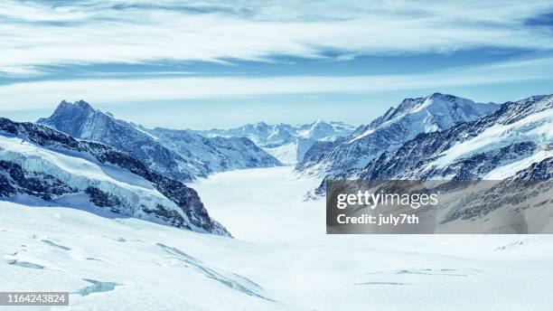 aletsch glacier from jungfraujoch - aletsch glacier stock pictures, royalty-free photos & images