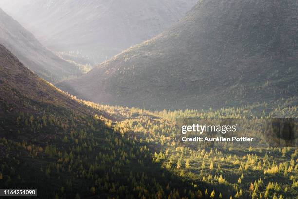 parc national de la gaspésie, vallée du diable, autumn - parc national de la gaspésie stock pictures, royalty-free photos & images