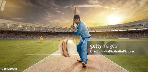 a sportsman playing cricket in the stadium as viewers cheer on - cricket player imagens e fotografias de stock