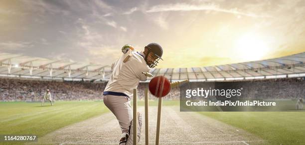 rear view of cricket ball hitting the stumps behind the batsman - cricket bat stockfoto's en -beelden